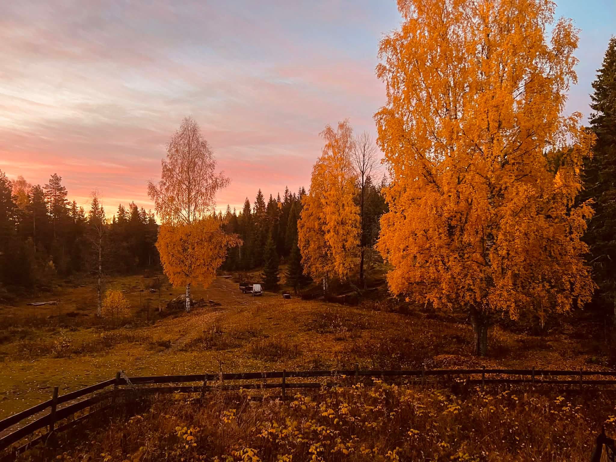 Høstlandskapet rundt hytta